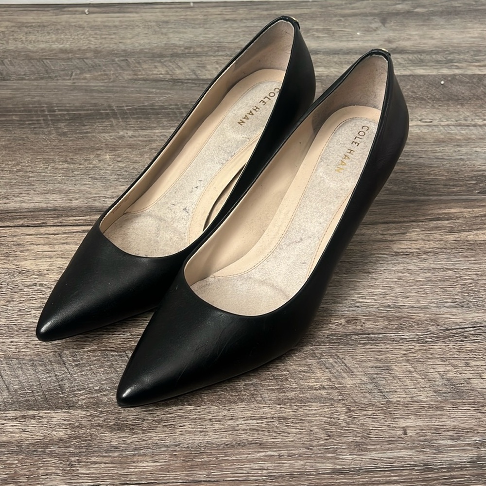 Cole Haan Womens Go-to Park Pointed Toe Stiletto Pump Black Leather Size 8.5B @